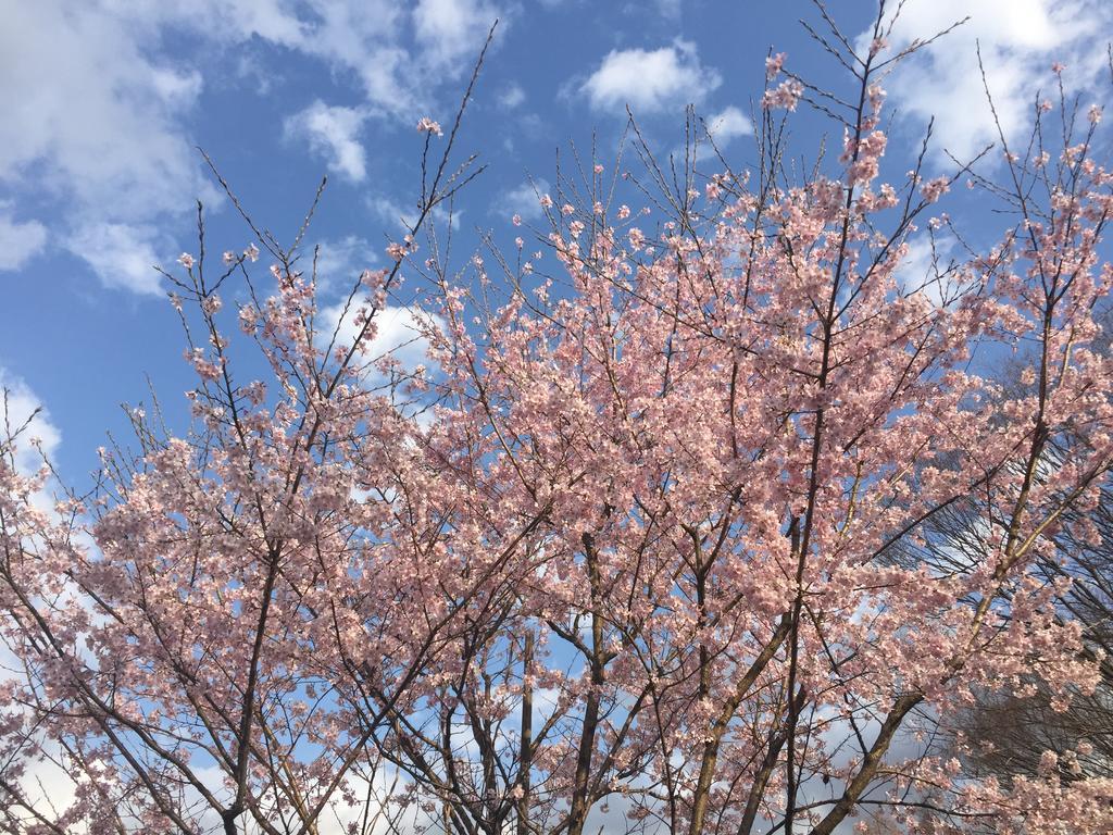 Отель Kinugawaonsen Fukumatsu Никко Экстерьер фото
